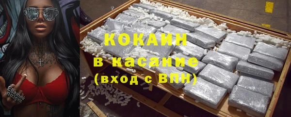 2c-b Гусев