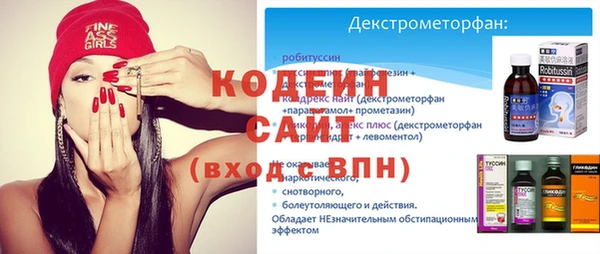 2c-b Гусев