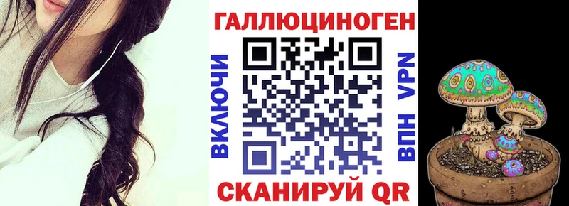 Псилоцибиновые грибы MAGIC MUSHROOMS  Купить  Камызяк 