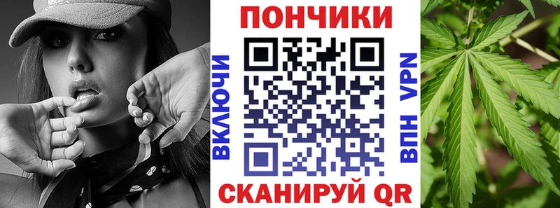 Купить Камызяк Каннабис план
